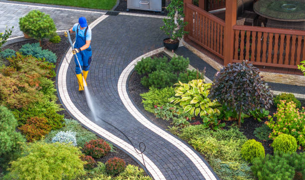 Best Roof Power Washing Services  in Pima, AZ